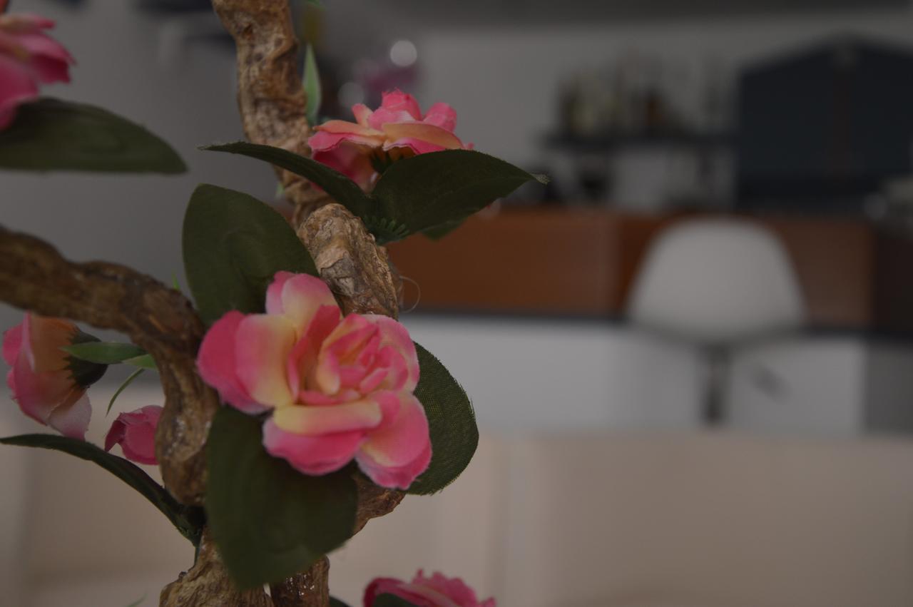 Hotel Fucsia ريتشوني المظهر الخارجي الصورة